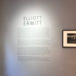 Elliot Erwitt
